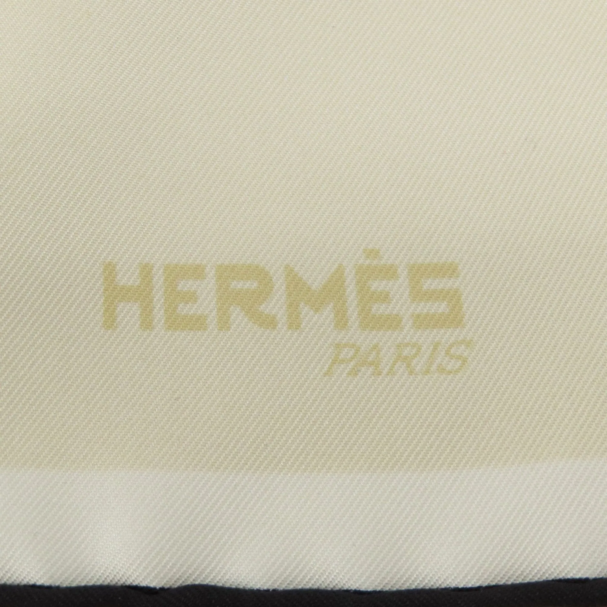 Herms Carr White Silk Accessories